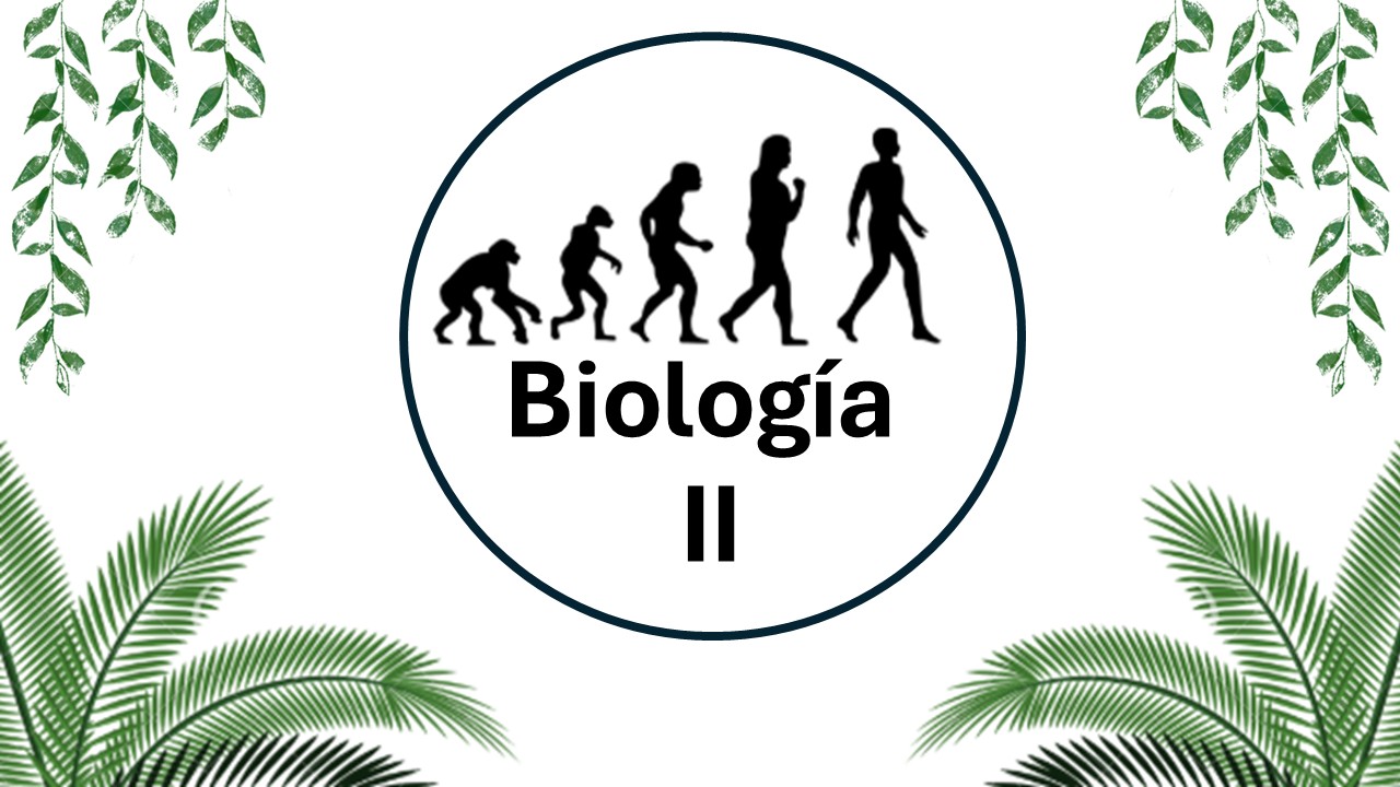 BIOLOGÍA II -   MAR 08:40-09:30   SALON: 5  -  SISTEMA DE PREPARATORIA MIXTA REFORMA EDUCATIVA